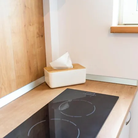 Apartment Thome Bucegi *